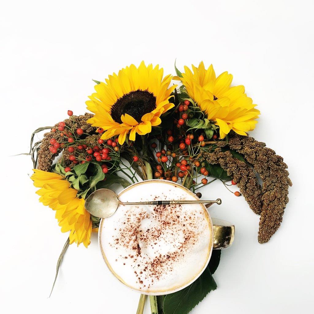 Sonnenblumen, hagebutten, hirse, kaffee