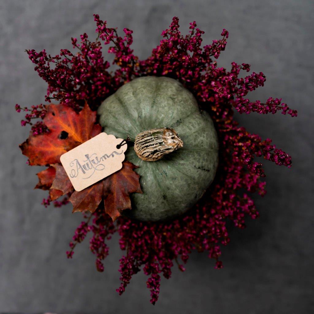 Kürbis, Herbstlaub, Erika, Autumn