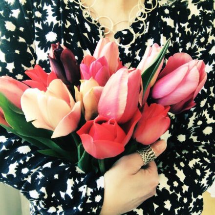 tulpen, frühling